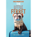 The Little Ferret: How to Care for Ferrets