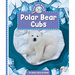 Polar Bear Cubs