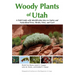 Woody Plants of Utah: A Field Guide with Identification Keys to Native and Naturalized Trees, Shrubs, Cacti, and Vines