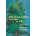 What We Know, What We Wish: Maine Statehood, Historical Commemoration, and the Urgency of Public History
