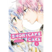 Shortcake Cake, Vol. 5