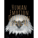 Human Emotion and Artificial Intelligence