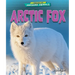 Arctic Fox