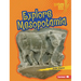 Explore Mesopotamia