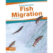 Fish Migration