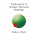 The Essence of Solution Focused Practice