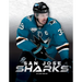 San Jose Sharks