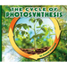 The Cycle of Photosynthesis