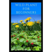 Wild Plant for Beginners: A book guide on how to ethically plant, identify, harvest, prepare, eat and preserve wild plants