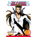 Bleach, Vol. 48