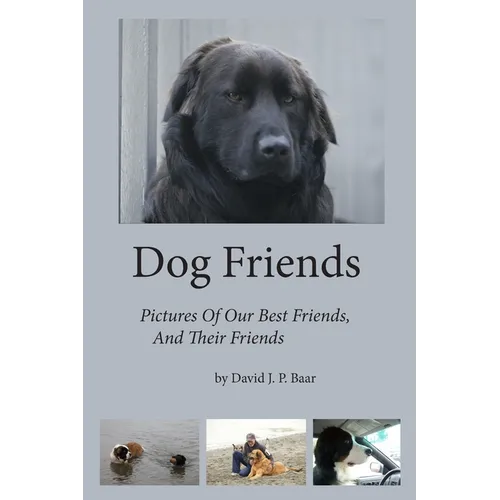 Dog Friends