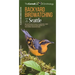 Backyard Birdwatching in Seattle: An Introduction to Birding and Common Backyard Birds of Western Washington