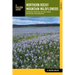 Northern Rocky Mountain Wildflowers