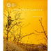 Maximilian Prüfer: Fruits of Labor