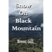 Snow on Black Mountain: The Scott Ranch Adventures - Book 2