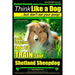 Shetland Sheepdog, Shetland Sheepdog Training AAA AKC: Think Like a Dog, but Don't Eat Your Poop! Shetland Sheepdog Breed Expert Training: Here's EXAC