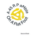 A 45 R P aMble On A Flat Foot