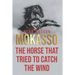 Mokasso, the horse that tried to catch the wind
