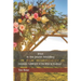 Jesus in the Jewish Wedding: Messianic Fulfillment in the Bible and Tradition
