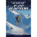 F-22 Raptor