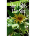 She Holds The Sun