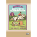 Showtym Adventures 3: Casper, the Spirited Arabian (Dyslexia-Friendly Edition)