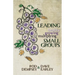 Leading Healthy, Growing, Multiplying, Small Groups