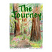 The Journey Life Lessons with Diane the Turtle