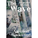 The Wave: An Egyptian Aftermath
