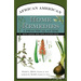 African American Home Remedies: A Practical Guide with Usage and Application Data