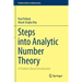 Steps Into Analytic Number Theory: A Problem-Based Introduction