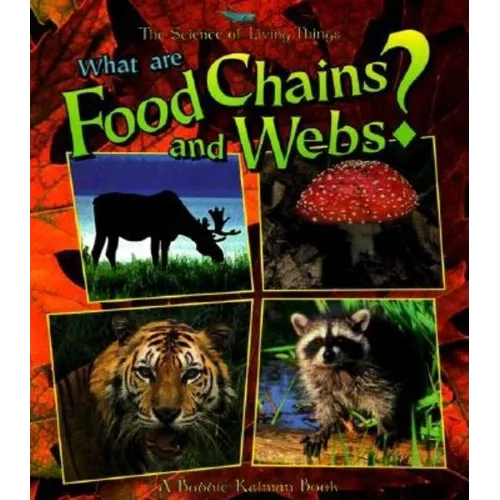 What Are Food Chains and Webs?