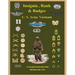 United States Army Vietnam Insignia, Rank and Badges