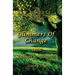 Glimmers of Change (# 7 in the Bregdan Chronicles Historical Fiction Romance Series)