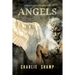 Angels: A Biblical School of Living Light