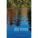 The Big Vivid