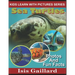 Sea Turtles: Photos and Fun Facts for Kids