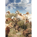 Meatmaster Sheep: Breed Establishment in South Africa