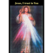 Jesus, I trust in You