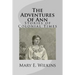 The Adventures of Ann: Stories of Colonial Times
