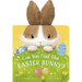 Can You Find the Easter Bunny?