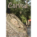 Carved