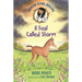 Jasmine Green Rescues: A Foal Called Storm