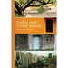 China and Other Spaces