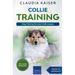 Collie Training - Dog Training for your Collie puppy