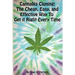 Cannabis Cloning: the Easy, Cheap, and Effective Way to Get It Right Every Time