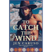 To Catch the Wind