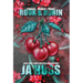 Rook and Ronin: Tragic Manic Panic Omnibus