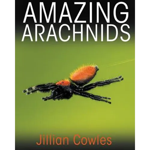 Amazing Arachnids