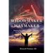 Widowmaker to Waymaker: Breaking the Chains: From Heart Attack to Healing, From Addiction to Freedom